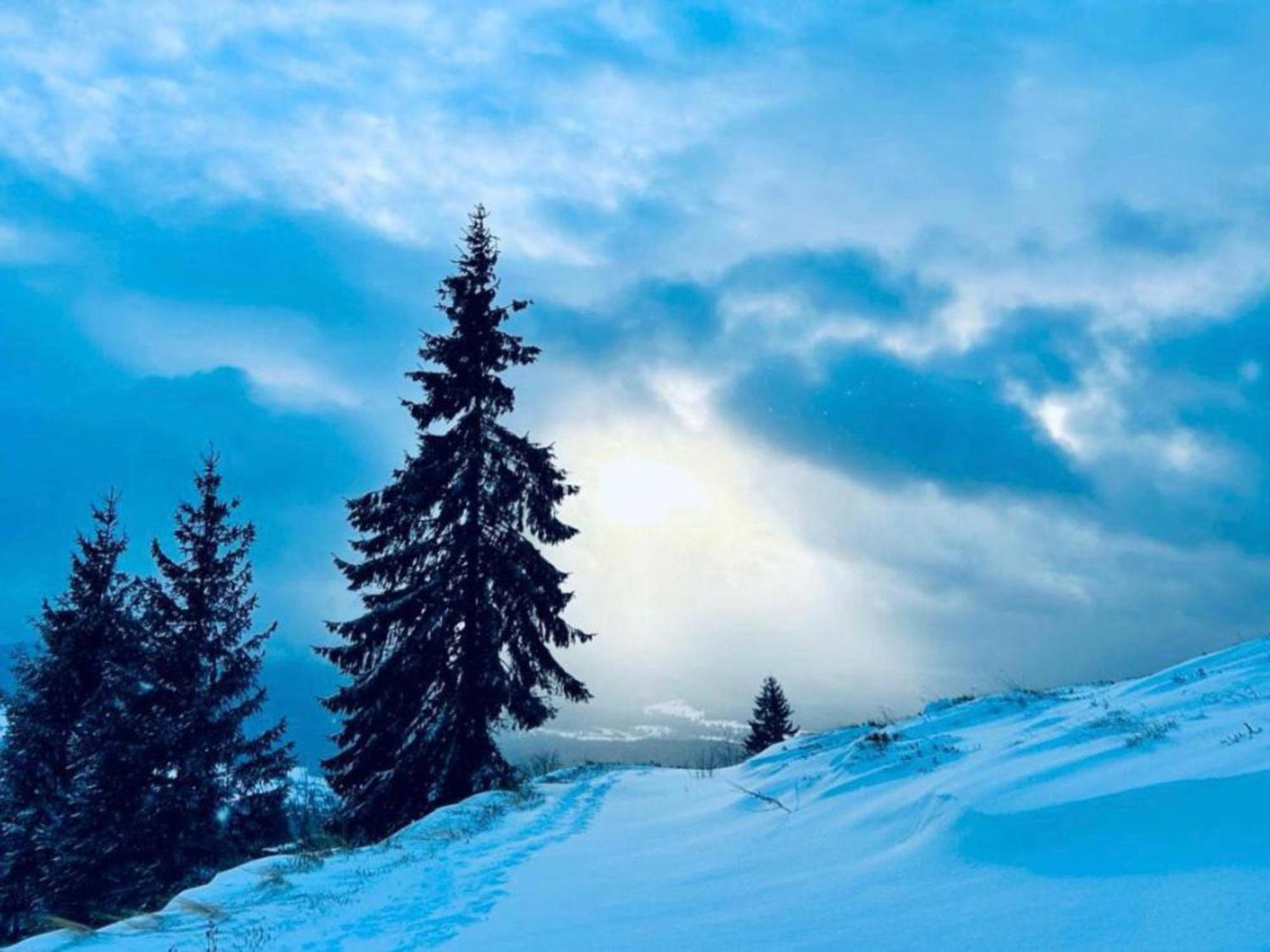 Tiarra Mountain Lodge Beliş Dış mekan fotoğraf