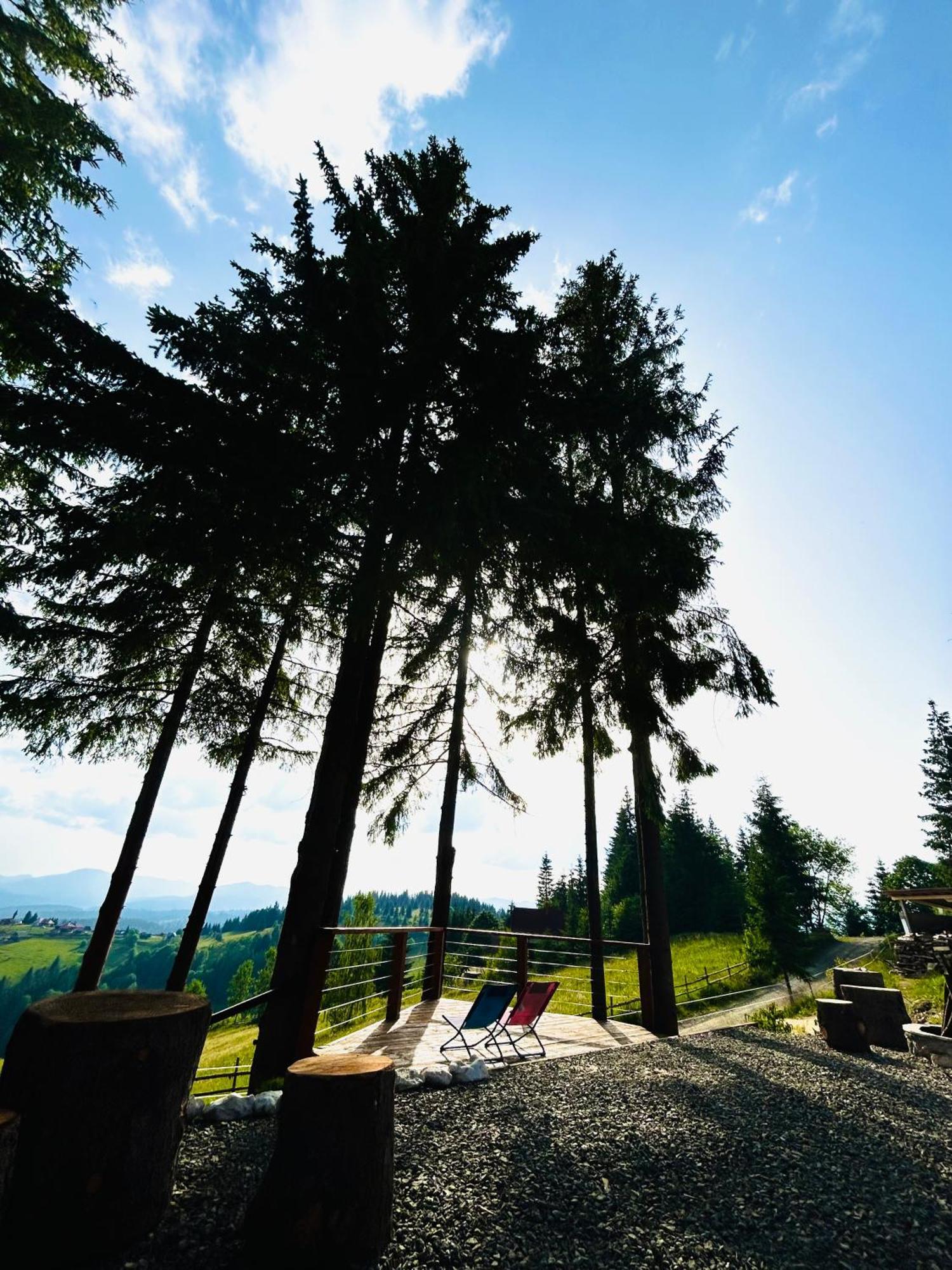 Tiarra Mountain Lodge Beliş Dış mekan fotoğraf
